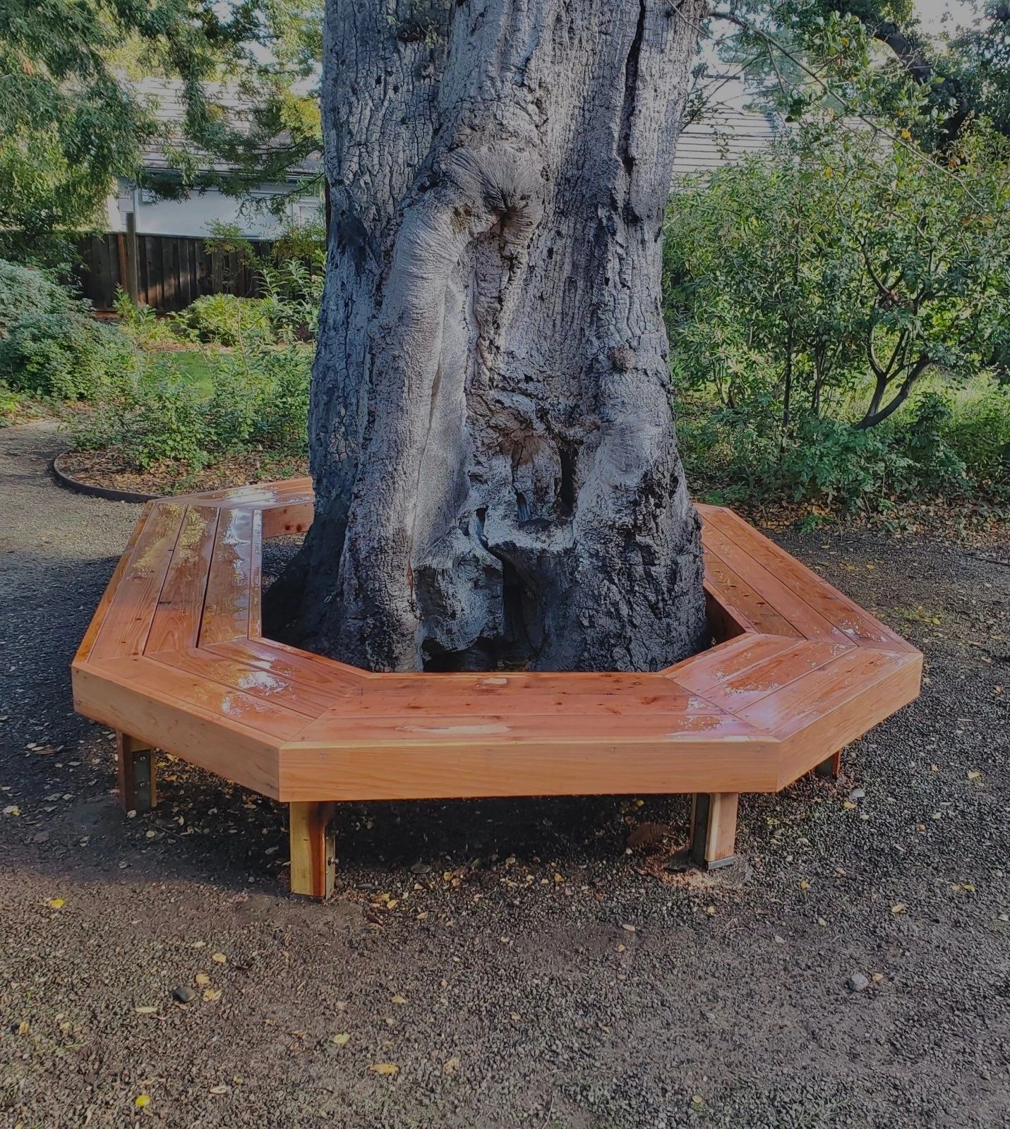 Octagonal wooden bench surrounding a large tree trunk in a garden