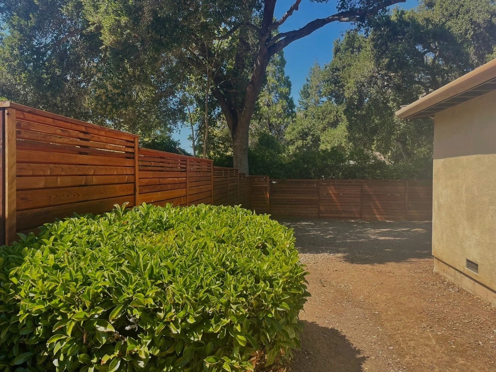 Wooden fence surrounding a lush garden with mature plantings